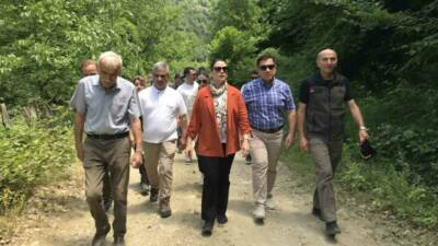 Bartın ormanlarında tesadüfen 478 santimetre çapı ve 500 yılı aşkın