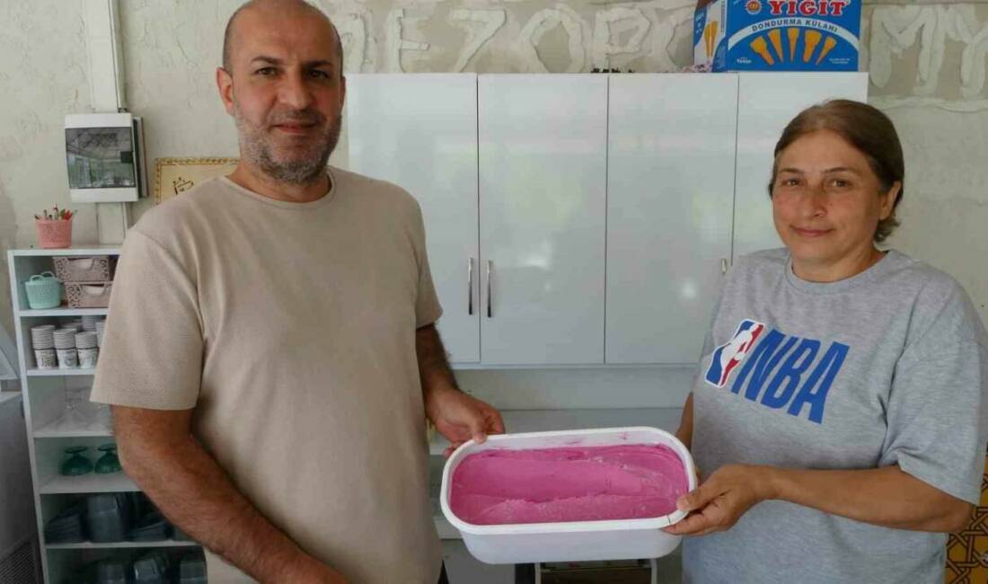Malatya’nın Arapgir ilçesinde yetişen ve coğrafi işaretle tescillenen mor reyhan,