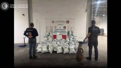 Ticaret Bakanlığı gümrük muhafaza ekipleri, Ağrı'daki Gürbulak Gümrük Kapısı'nda, tek