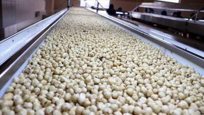 Türkiye, 2025 yılının 5 ayında fındık ihracatından 1 milyar 41