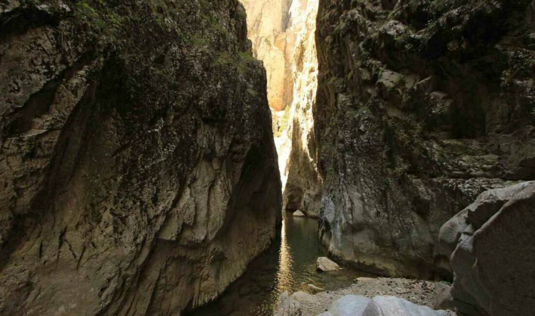 Türkiye’nin en önemli tabiat parklarından biri olan Akdağ Tabiat Parkı’nda,