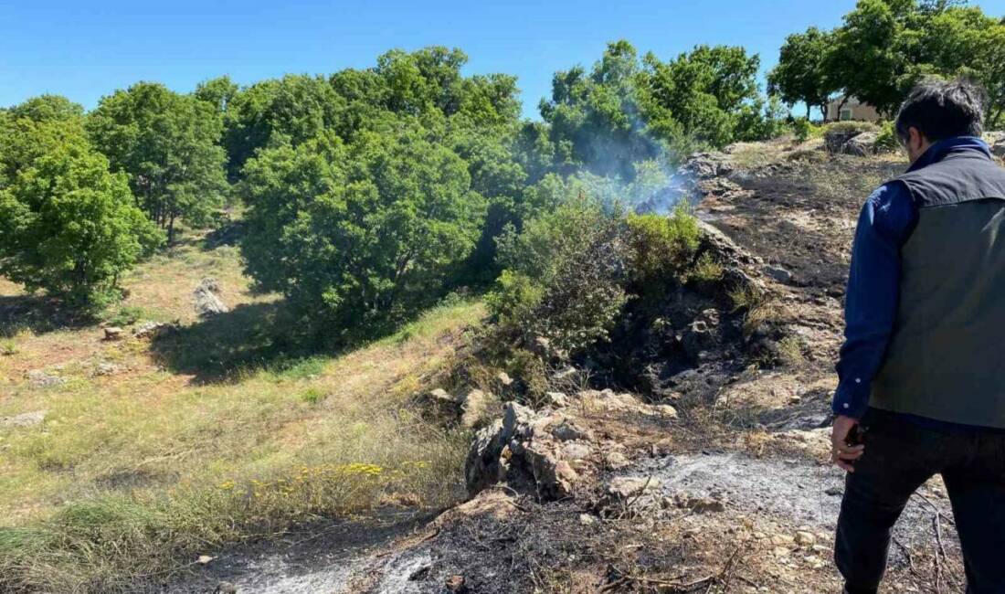 Tunceli’de gübrenin tutuşmasıyla başlayan yangın, köylülerin erken müdahalesiyle köye sıçramadan