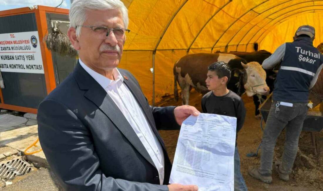Türk Veteriner Hekimleri Birliği (TVHB) Merkez Konseyi Başkanı Ali Eroğlu,