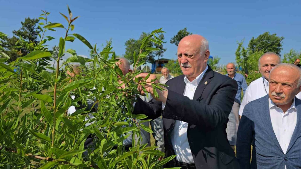 Türkiye Ziraat Odaları Birliği (TZOB) Genel Başkanı Şemsi Bayraktar, Karabük’te