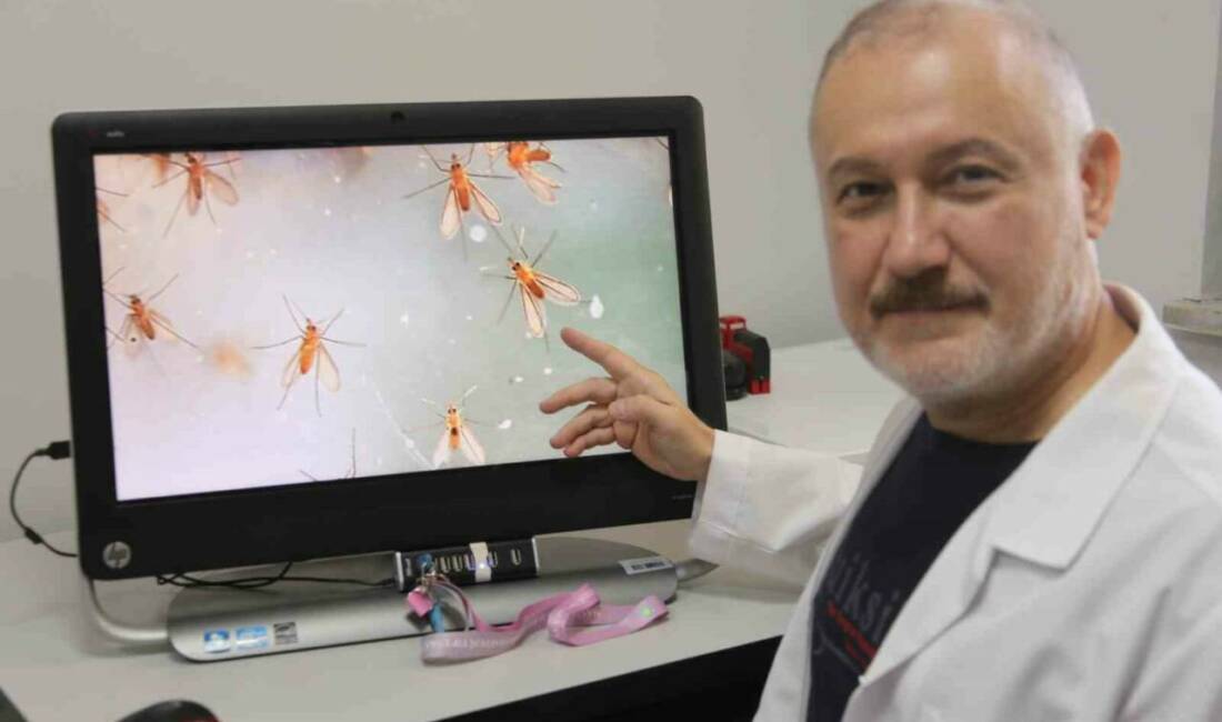 Yaz aylarında artan sıcaklıklar, Manisa’da tropikal hastalık riskini de beraberinde