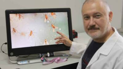 Yaz aylarında artan sıcaklıklar, Manisa’da tropikal hastalık riskini de beraberinde