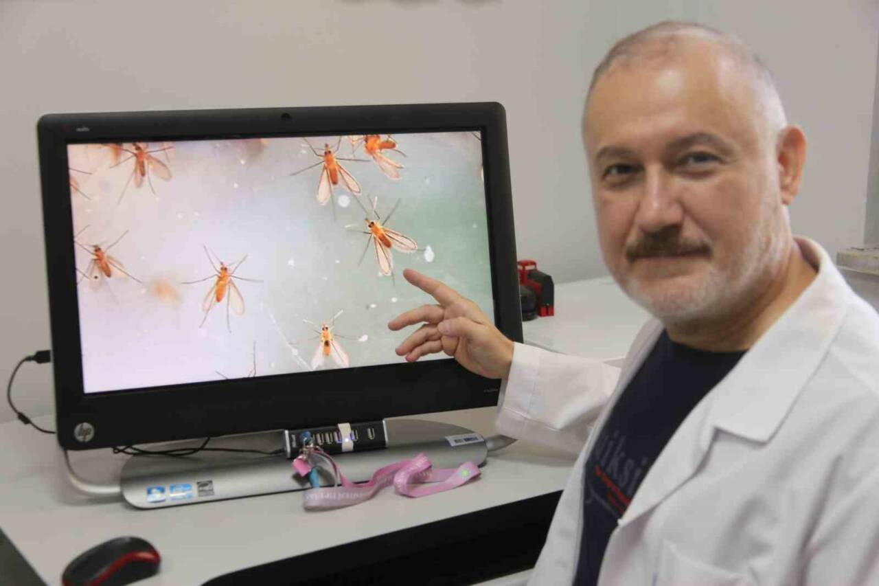 Yaz aylarında artan sıcaklıklar, Manisa’da tropikal hastalık riskini de beraberinde