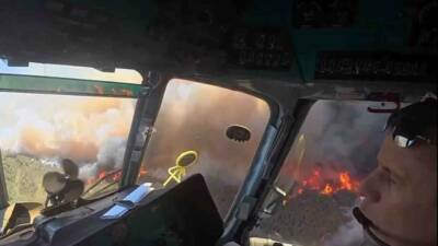 İzmir’in Aliağa ilçesinde başlayan ve Foça ilçesi sınırlarını geçen orman