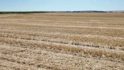 Edirne Valisi Yunus Sezer, hasat mevsimiyle birlikte artan yangın riskine