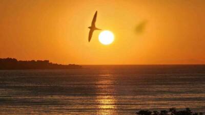 Bitlis’in Tatvan ilçesinde Van Gölü üzerinde sabah saatlerinde doğan güneş,