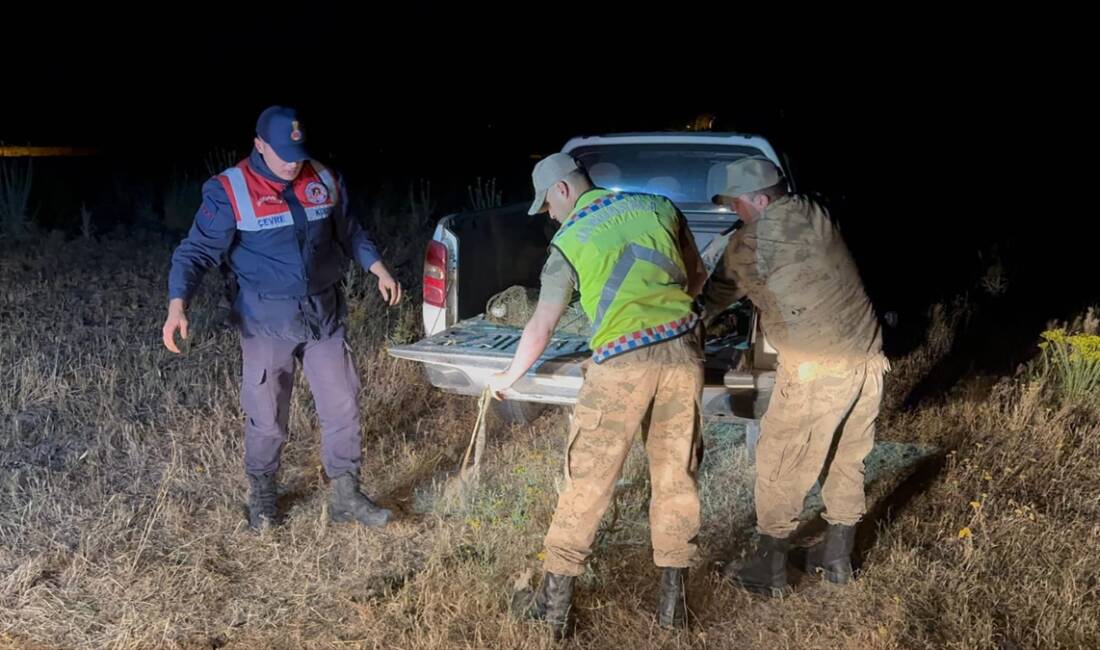 VAN (AA) – Van’da jandarma ekiplerince yapılan denetimlerde kaçak avlanan