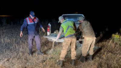 VAN (AA) – Van’da jandarma ekiplerince yapılan denetimlerde kaçak avlanan