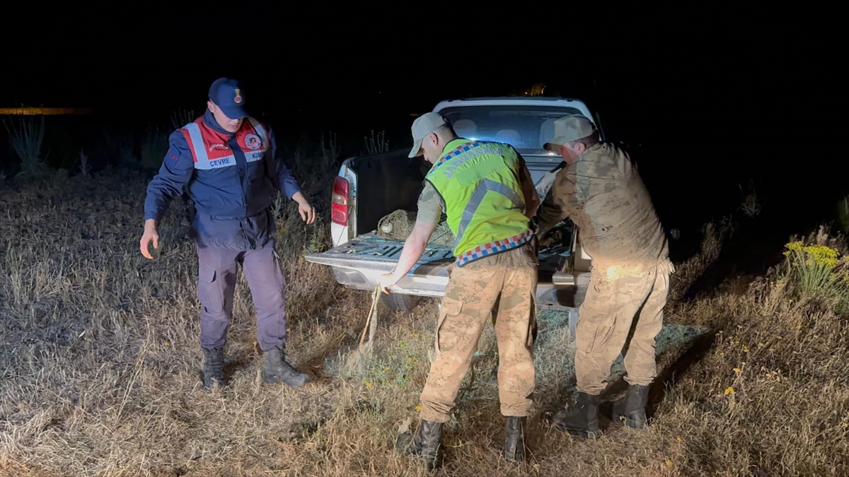 VAN (AA) – Van’da jandarma ekiplerince yapılan denetimlerde kaçak avlanan