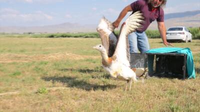 VAN (AA) – Muş’ta 12 Mayıs’ta yaralı ve bitkin bulunarak