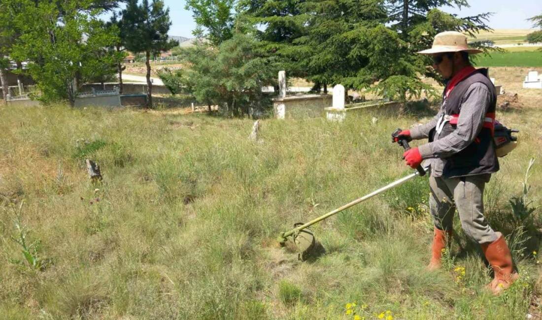 Emirdağ ilçesine bağlı Yarımca köyü içinde bulunan yabancı otlar, Köy