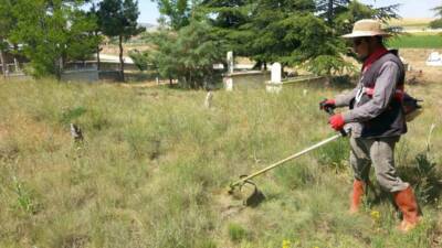 Emirdağ ilçesine bağlı Yarımca köyü içinde bulunan yabancı otlar, Köy