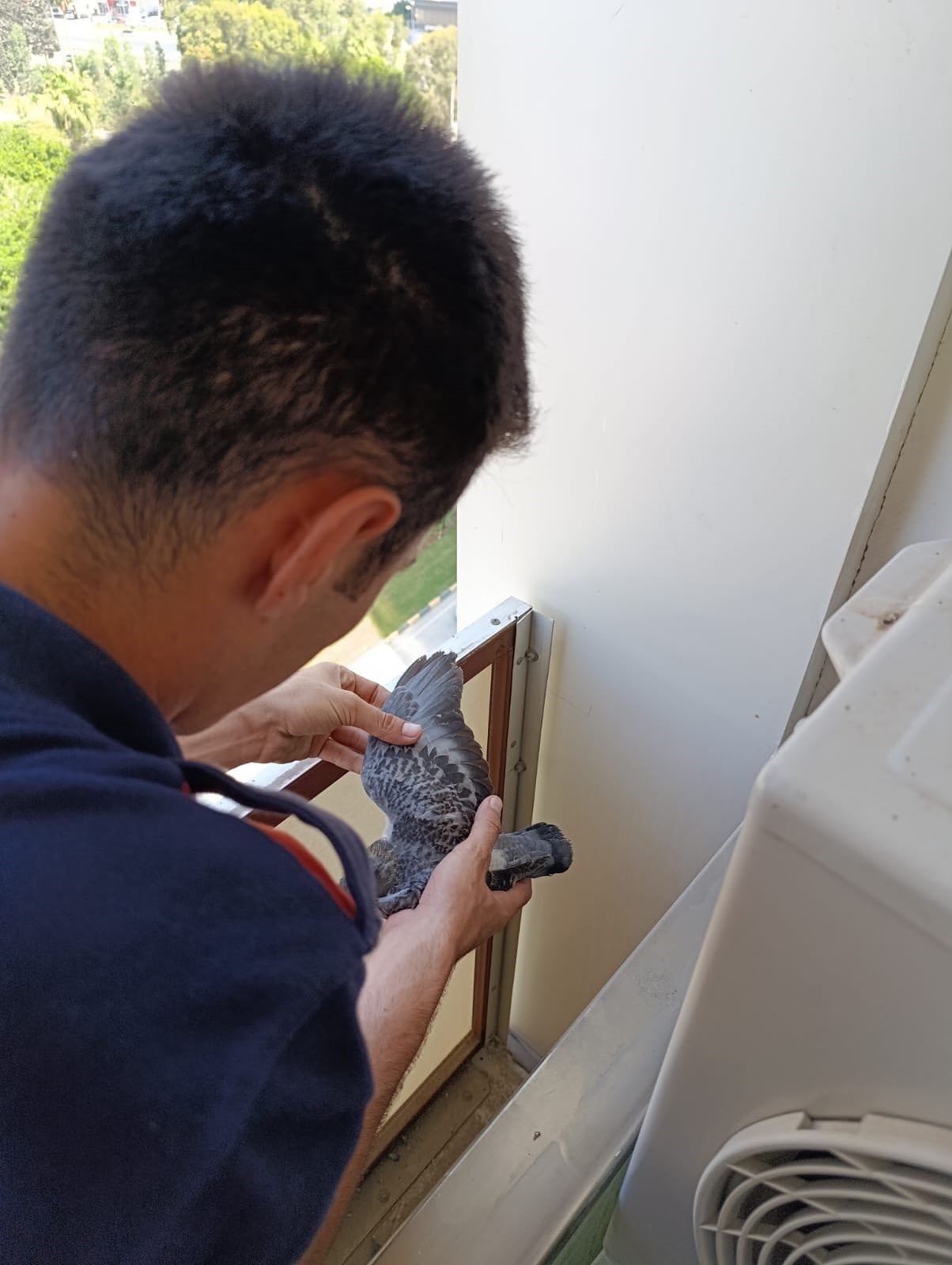 Hatay’da bir evin balkon korkuluklarında mahsur kalan yavru güvercinleri itfaiye