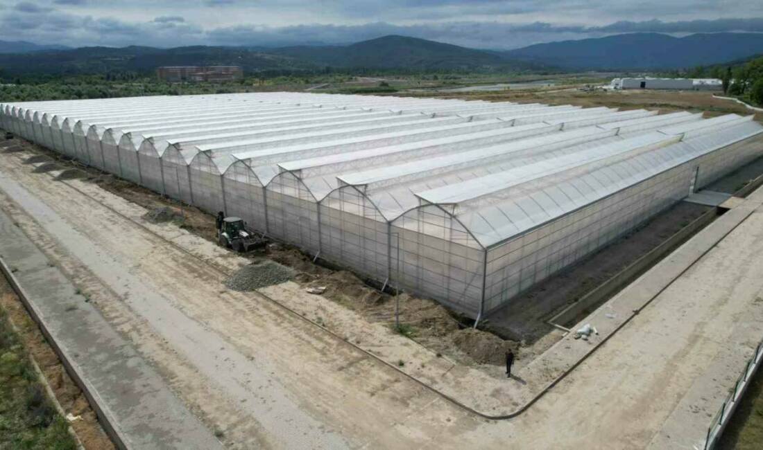 Zonguldak’ta 524 dekar alana kurulan ve yüksek teknolojilerin kullanıldığı Sera