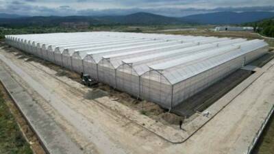 Zonguldak’ta 524 dekar alana kurulan ve yüksek teknolojilerin kullanıldığı Sera