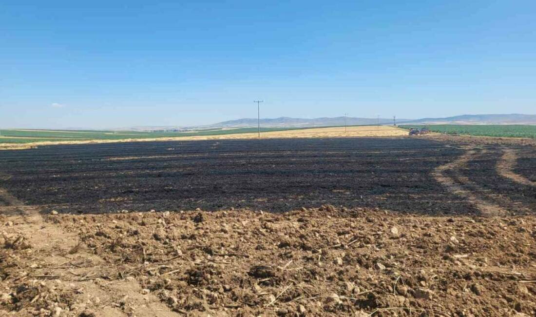 Eskişehir’de buğday hasadı sonrasında 40 dönümlük tarım arazisinde yangın çıktı.