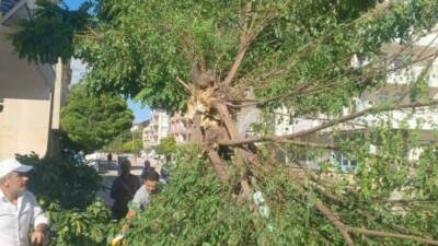 Adıyaman’ın Gölbaşı ilçesinde gece saatlerinde etkili olan fırtına, hayatı olumsuz