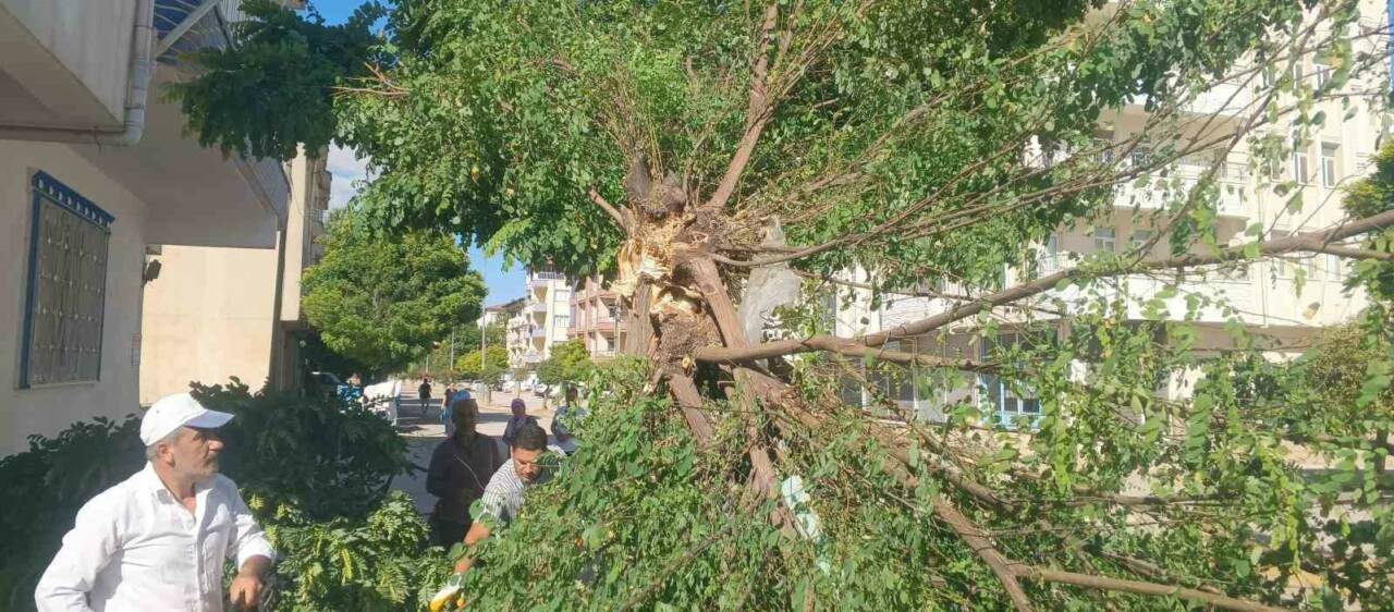 Adıyaman’ın Gölbaşı ilçesinde gece saatlerinde etkili olan fırtına, hayatı olumsuz