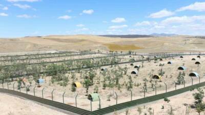 Aksaray Sahipsiz Hayvanları Koruma Birliği tarafından sahipsiz hayvanlara yönelik hayata