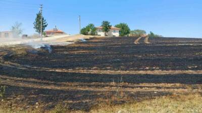 Çorum’un Alaca ilçesi çıkan anız yangını, yerleşim alanlarına sıçramadan kontrol