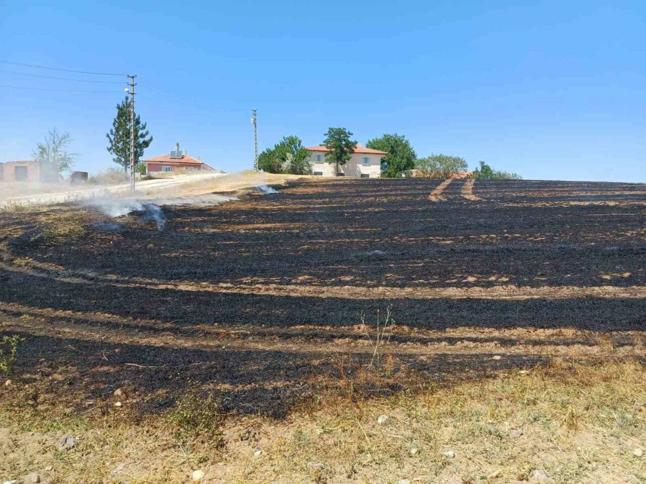 Çorum’un Alaca ilçesi çıkan anız yangını, yerleşim alanlarına sıçramadan kontrol