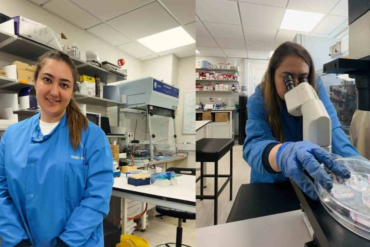 Alanya Alaaddin Keykubat Üniversitesi (ALKÜ) Tıp Fakültesi Dr. Öğr. Üyesi