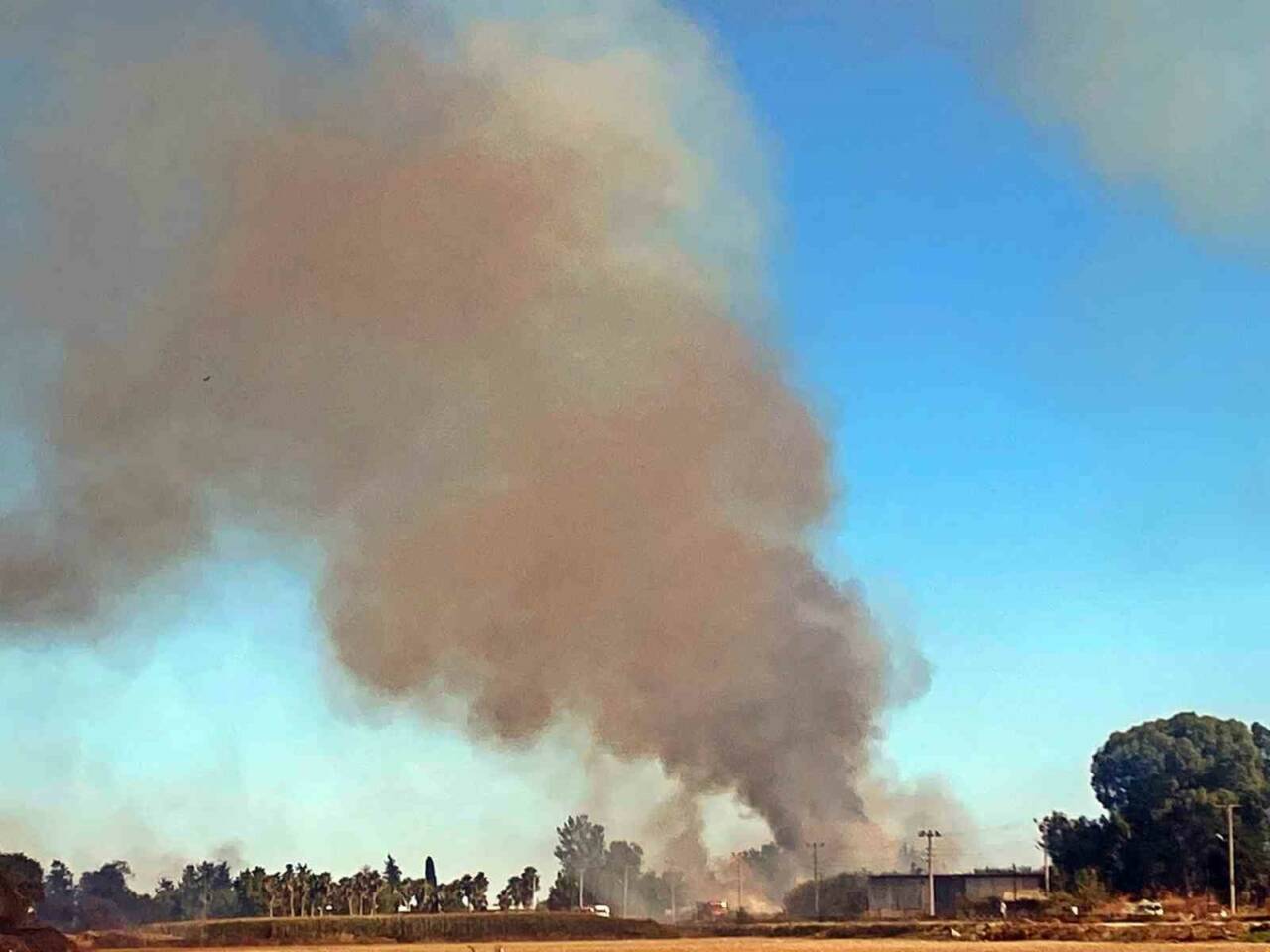 Antalya’da 3 farklı yerde çıkan kargılık yangını çıkıp iş yeri