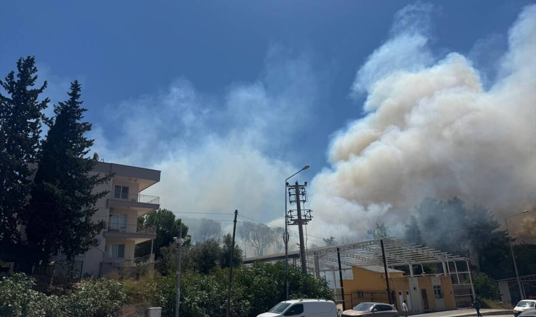 ANTALYA (AA) – Antalya’nın Aksu ilçesinde ormanlık ve çalılık alanda