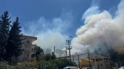 ANTALYA (AA) – Antalya’nın Aksu ilçesinde ormanlık ve çalılık alanda