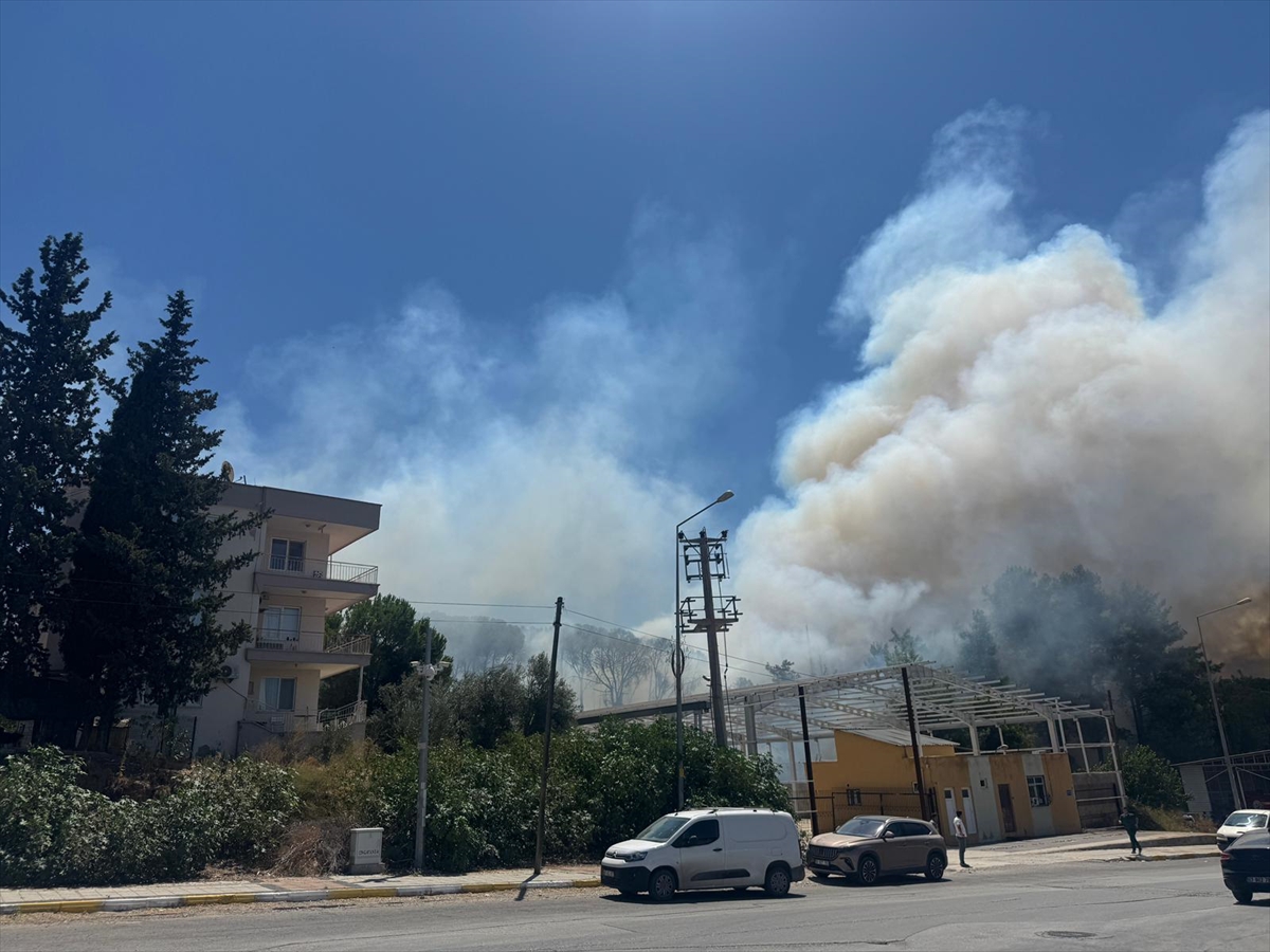 ANTALYA (AA) – Antalya’nın Aksu ilçesinde ormanlık ve çalılık alanda