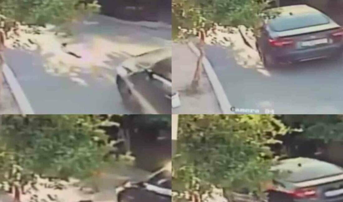Mersin’de bir köpeğin, aracın üzerinden geçmesi sonucu telef olduğu anlar