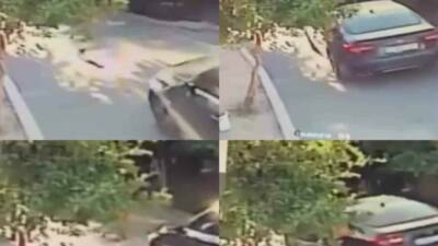 Mersin’de bir köpeğin, aracın üzerinden geçmesi sonucu telef olduğu anlar