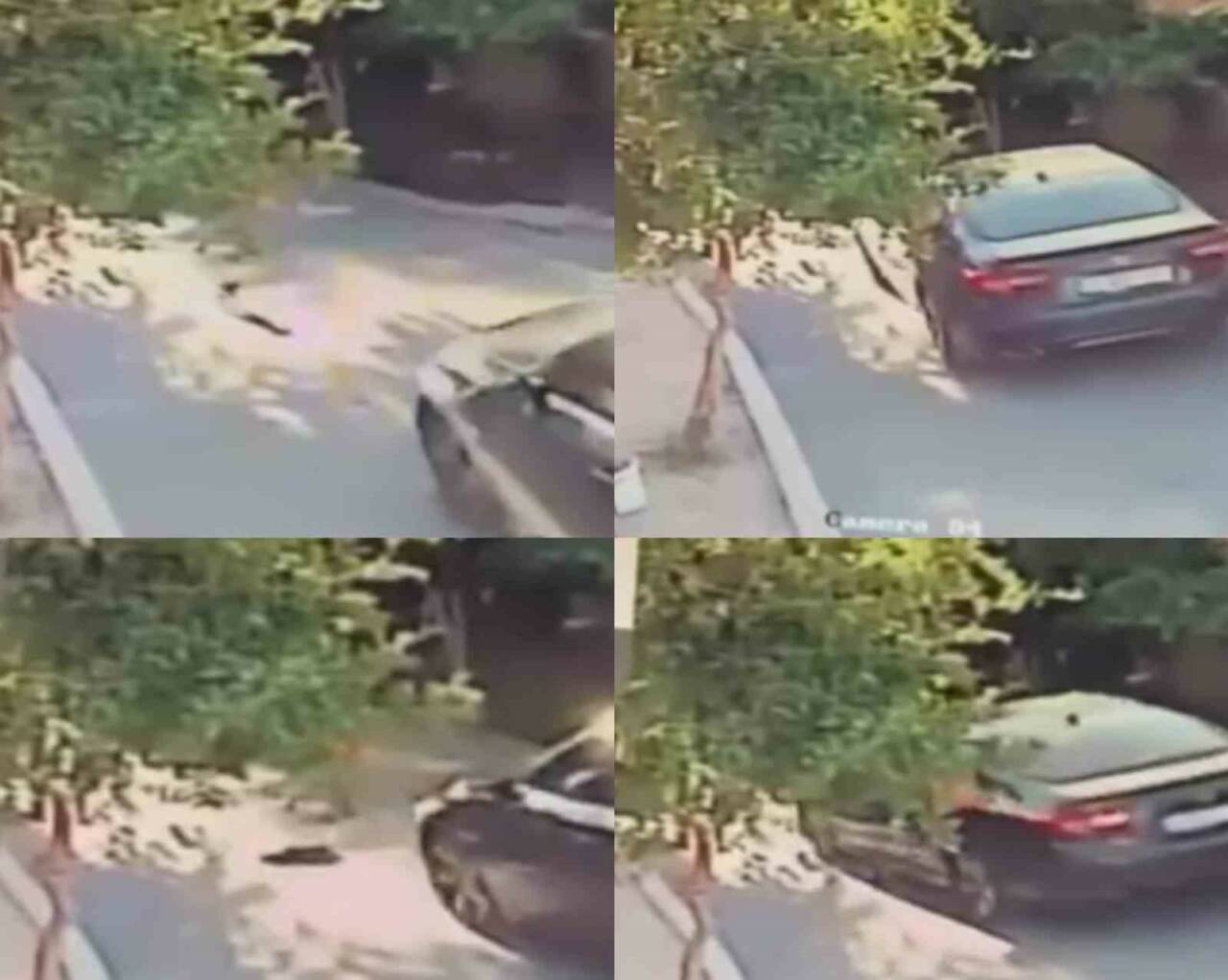 Mersin’de bir köpeğin, aracın üzerinden geçmesi sonucu telef olduğu anlar