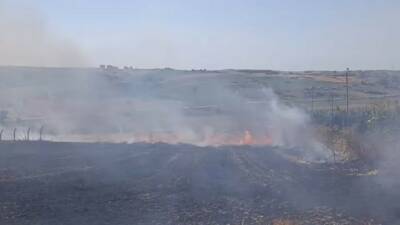 Arnavutköy’de bir tarlada yangın çıktı. Vatandaşlar hortum ve iş makineleriyle