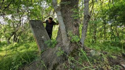 Bitlis’in Tatvan ilçesine bağlı Tokaçlı köyünde bulunan tarihi mezarlar, büyüyen