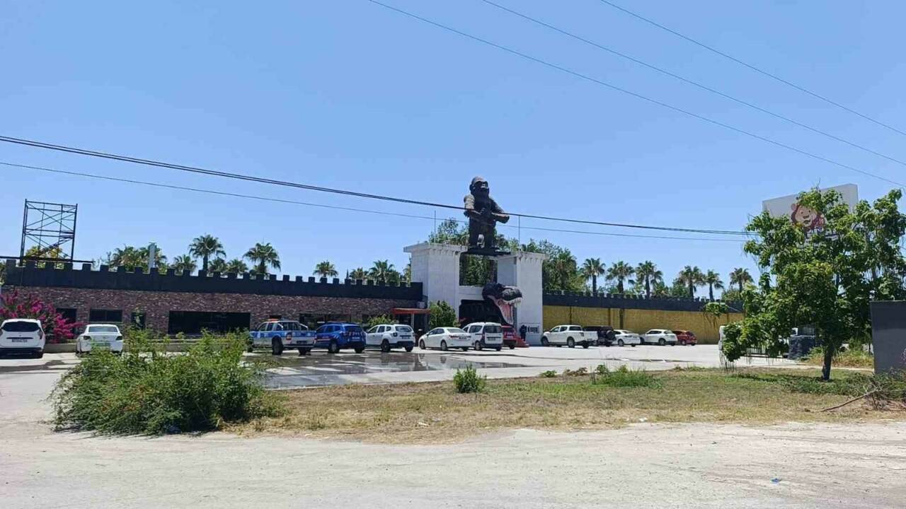 Antalya’nın Manavgat ilçesinde bir çiftçiye tarlada saldırdıktan sonra ormanlık alanda