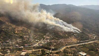 Aydın’ın Bozdoğan ilçesinde ormanlık alanda yangın çıktı. Edinilen bilgiye göre,