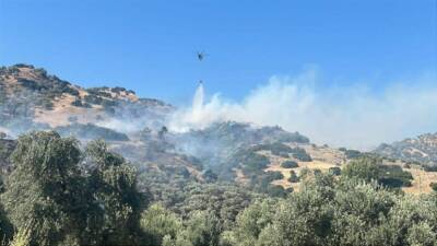 Aydın’ın Efeler ilçesinde dün çıkan zirai alan yangını ile ilgili