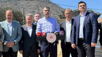 Aydın’ın birçok noktasında meydana gelen orman yangınları sonrasında hasar tespit