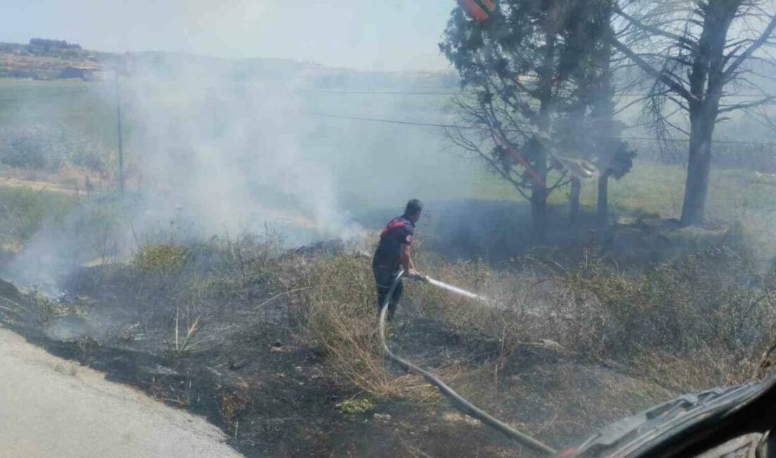 Balıkesir’in Bandırma ilçesinde farklı adreslerde çıkan ot ve çöp yangınları,