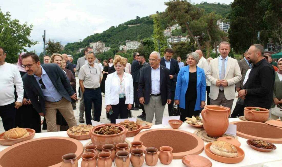 Kurul Kalesi ve Cıngırt Kalesi gibi arkeolojik kazıların yapıldığı Ordu’da,