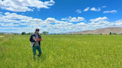 Yem bitkileri ekim alanlarının tespit edilmesi amacıyla Bayburt İl Tarım