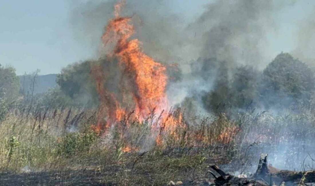 Düzce’de otluk alanda çıkan yangının ormanlık alana ulaşması, iş makineleri,
