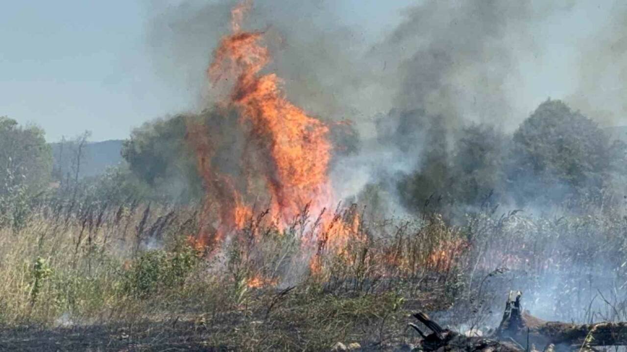Düzce’de otluk alanda çıkan yangının ormanlık alana ulaşması, iş makineleri,