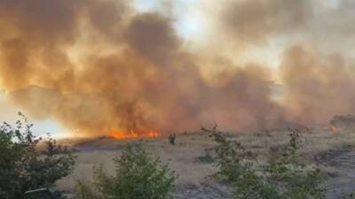 Beylikdüzü’nde otluk alanda yangın çıktı. İtfaiye ekiplerinin yangına müdahalesi devam