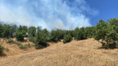 BİNGÖL (AA) – Bingöl’de ormanlık alanda çıkan yangın kontrol altına